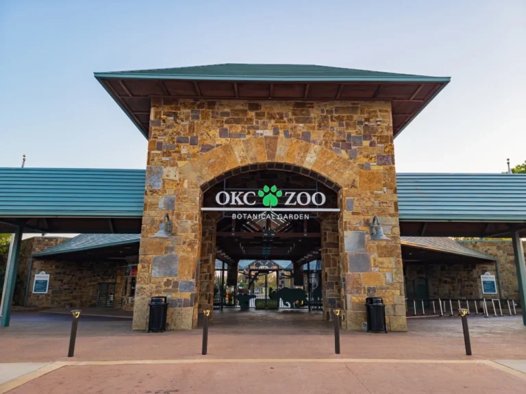 shutterstock_2077699132